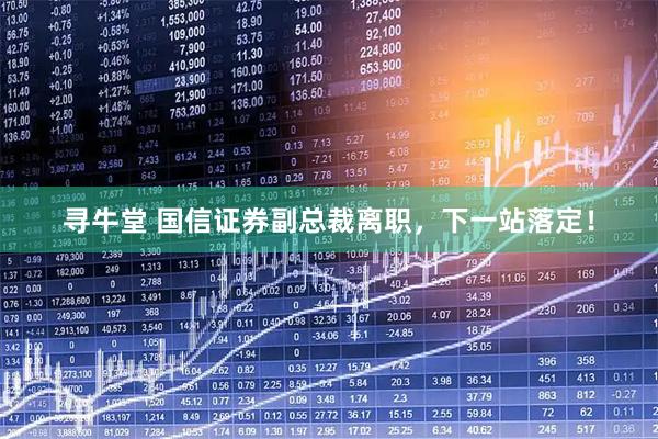 寻牛堂 国信证券副总裁离职，下一站落定！