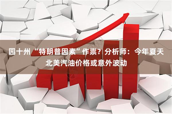 园十州 “特朗普因素”作祟？分析师：今年夏天北美汽油价格或意外波动