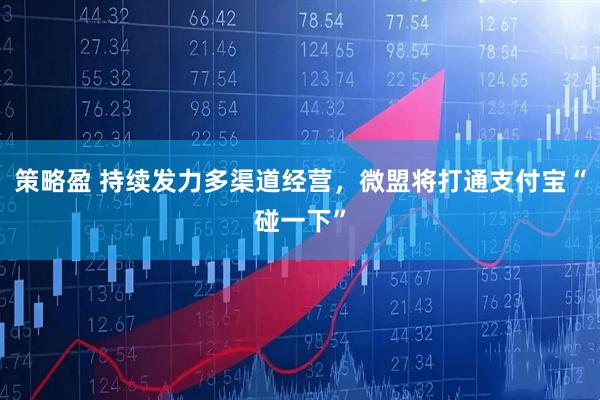 策略盈 持续发力多渠道经营,微盟将打通支付宝“碰一下”