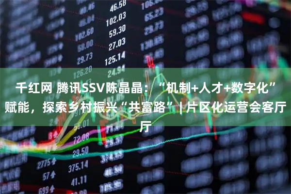 千红网 腾讯SSV陈晶晶：“机制+人才+数字化”赋能，探索乡村振兴“共富路” | 片区化运营会客厅