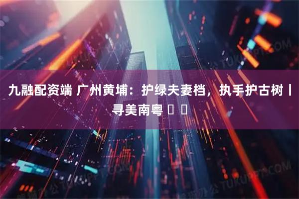 九融配资端 广州黄埔：护绿夫妻档，执手护古树丨寻美南粤 ‌⑬