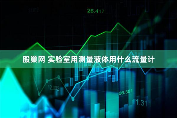 股巢网 实验室用测量液体用什么流量计
