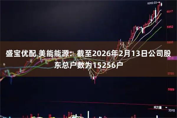 盛宝优配 美能能源：截至2026年2月13日公司股东总户数为15256户