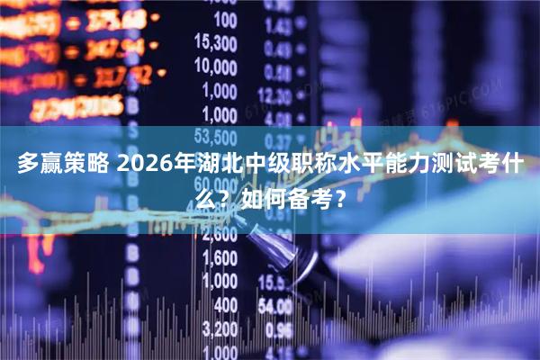 多赢策略 2026年湖北中级职称水平能力测试考什么？如何备考？